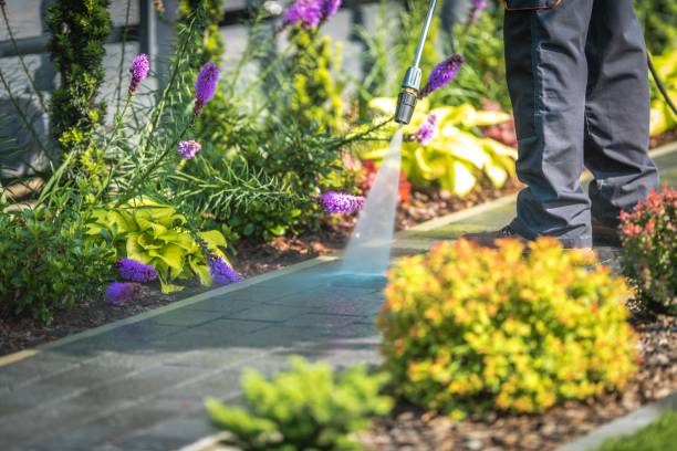 Best Driveway Pressure Washing  in Lagrange, IN